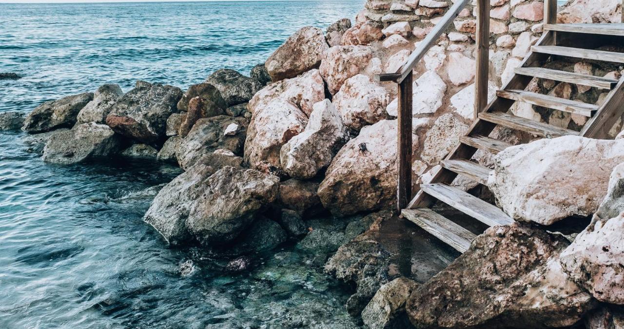 Terra Boutique Hotel Curacao يلمستاد المظهر الخارجي الصورة