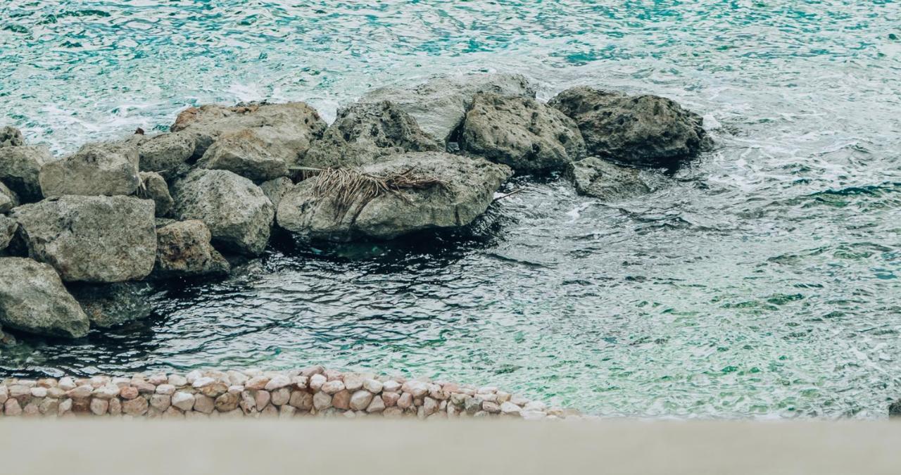 Terra Boutique Hotel Curacao يلمستاد المظهر الخارجي الصورة